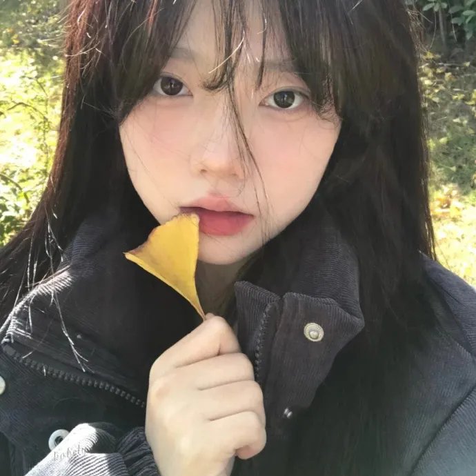 自卫的艺术
